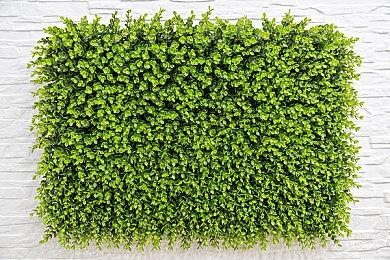 B站将于3月12日开启国行PS5抢购 仅限LV3及以上用户